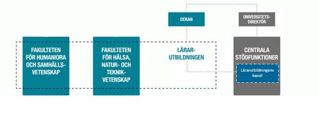 Organisationsskiss Lärarutbildningen