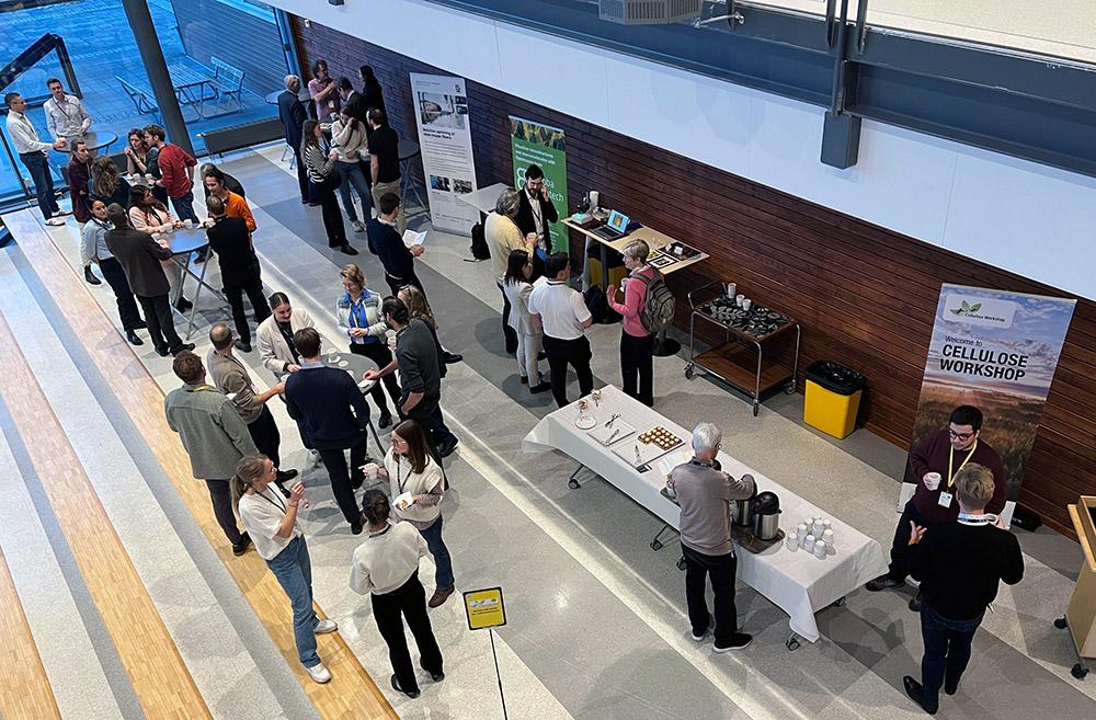 Cellulose Workshop 2024