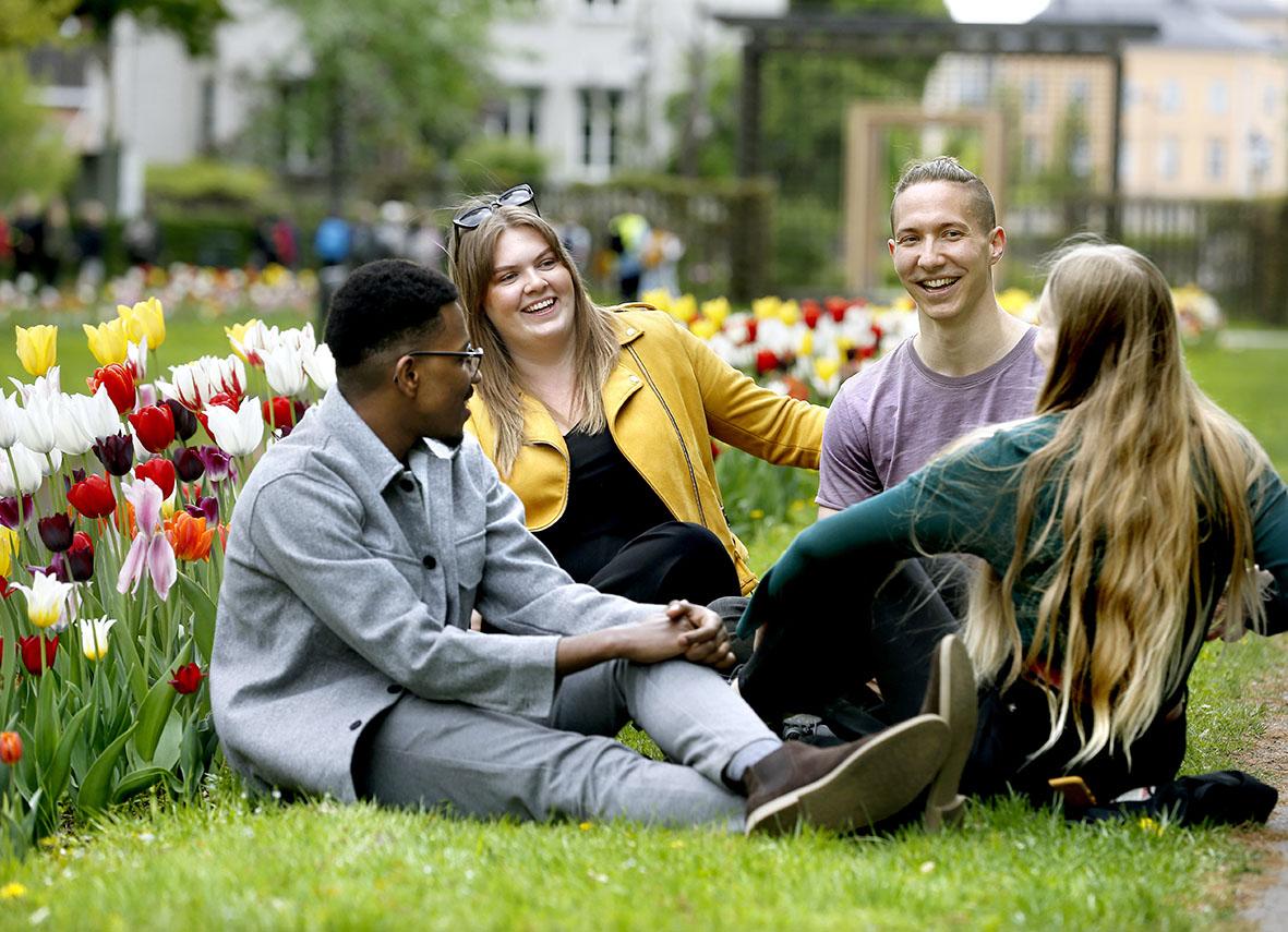 studenter som skrattar och pratar i en park