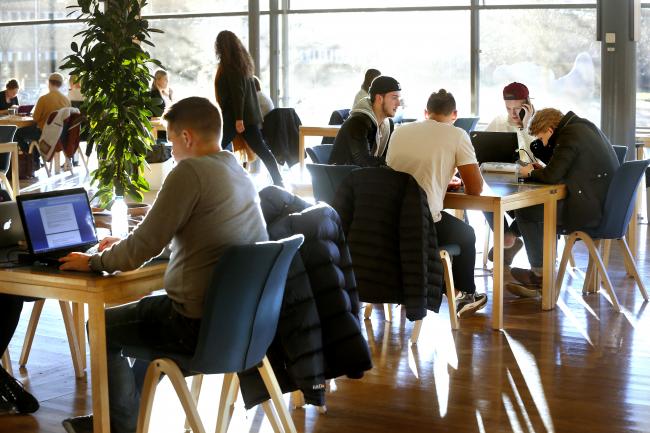 Studenter i ett soligt bibliotek