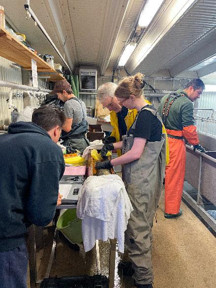 Forskningsgrupp av biologer som spårsändare fiskar