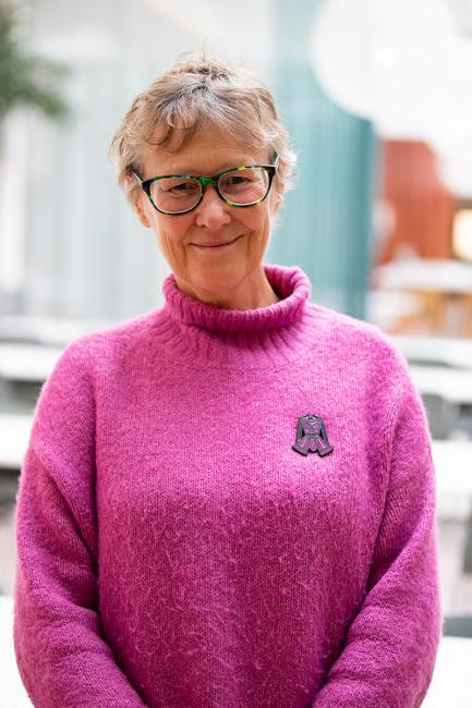 Mary-Rose McLaren professor at Victoria University in Melbourne.